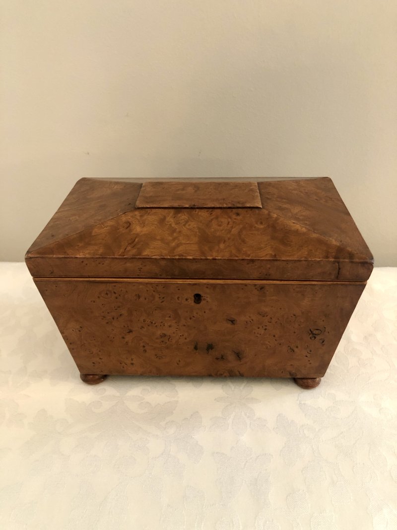 Antique Regency Sarcophagus Shaped  Burr Elm Tea Caddy